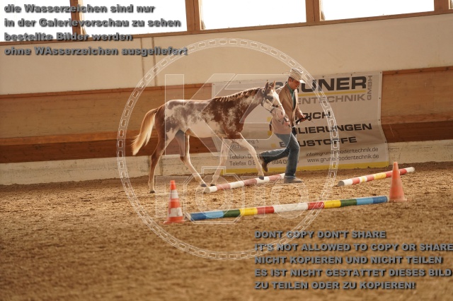 s_A_901039.JPG